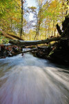 Leuvenumse beek, stroomversnelling